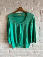 Repeat truitje, Kleding | Dames, Maat 38/40 (M), Ophalen of Verzenden, Zo goed als nieuw, Lange mouw