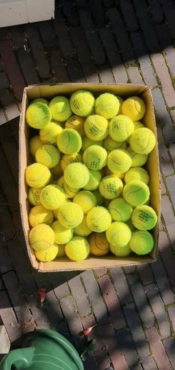 50 tennisballen gebruikt beschikbaar voor biedingen