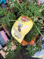 Citronella plant - Muggenbestrijder!, Overige soorten, Vaste plant, Ophalen of Verzenden, Halfschaduw