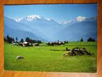 Ansichtkaart Zwitserland Kastler mit Wallis 19985, Verzamelen, Ophalen of Verzenden, Overig Europa