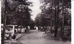 Bosschenhoofd (NBr.) Camping Hoeven 1969 -, Verzenden, 1960 tot 1980, Ongelopen, Noord-Brabant