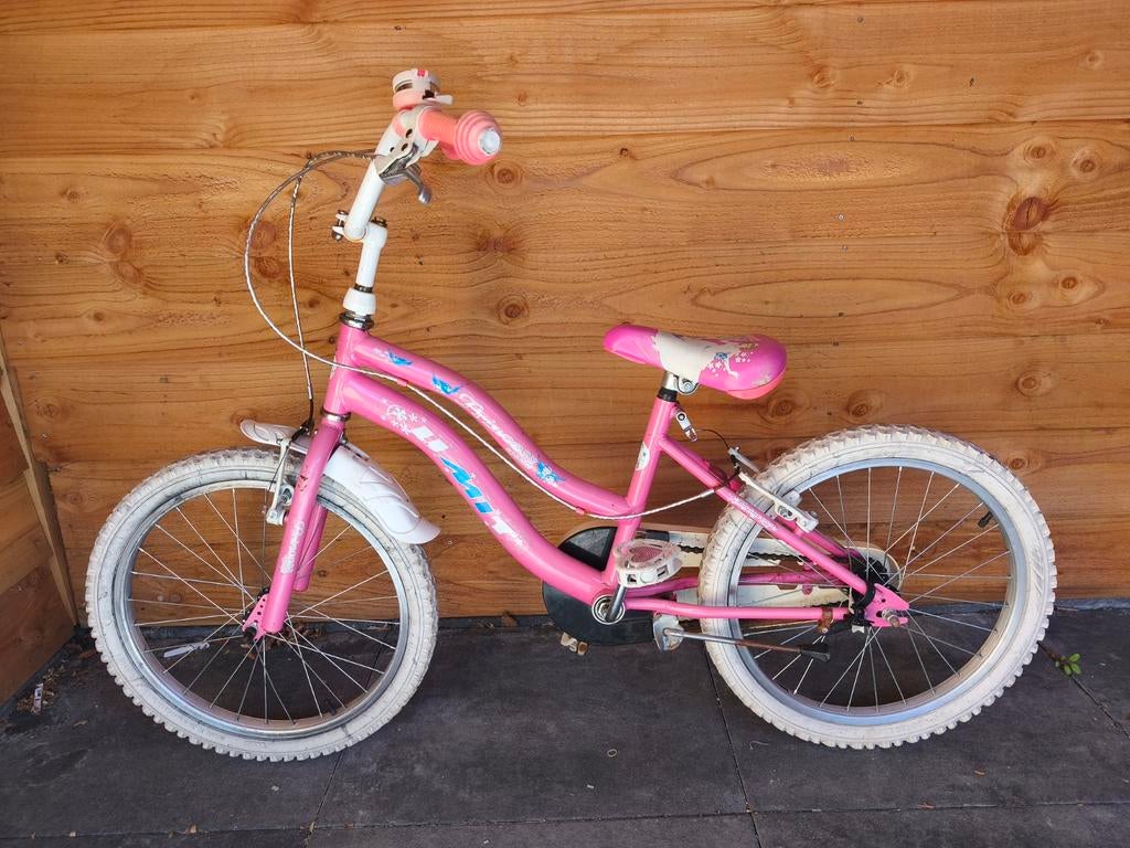 Roze prinsessen 20 inch meisjesfiets - Functioneert goed, Fietsen en Brommers, Fietsen | Meisjes, Ophalen of Verzenden, Gebruikt