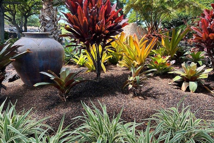 Macadamiadoppen 20L – Duurzame bodembedekking voor tuin, Tuin en Terras, Aarde en Mest, Overige typen, Ophalen of Verzenden