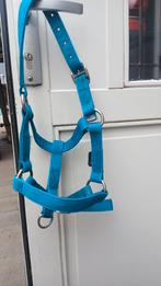 Halster maat shetlander pony, Ophalen of Verzenden, Overige soorten