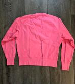 Roze Vingino trui maat 164, Kinderen en Baby's, Kinderkleding | Maat 164, Ophalen of Verzenden, Jongen of Meisje, Trui of Vest