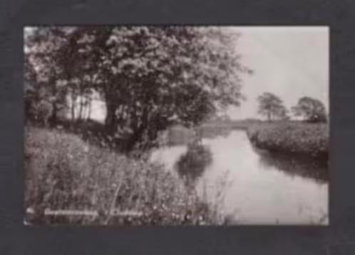 Beetsterzwaag 't Ouddiep 1964., Ophalen of Verzenden, 1960 tot 1980, Gelopen, Friesland