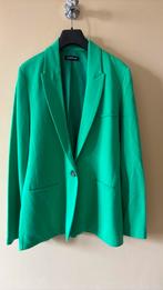 Hele zachte zgan blazer van Repeat maat 38, Ophalen of Verzenden, Zo goed als nieuw, Maat 38/40 (M)