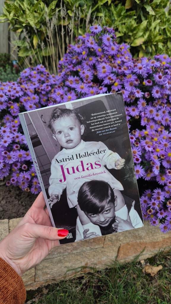 Judas - een familiekroniek, Ophalen of Verzenden