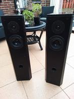 Driade Speakers - 80 cm hoog, 20 cm breed, Ophalen, Gebruikt, Front, Rear of Stereo speakers, Overige merken