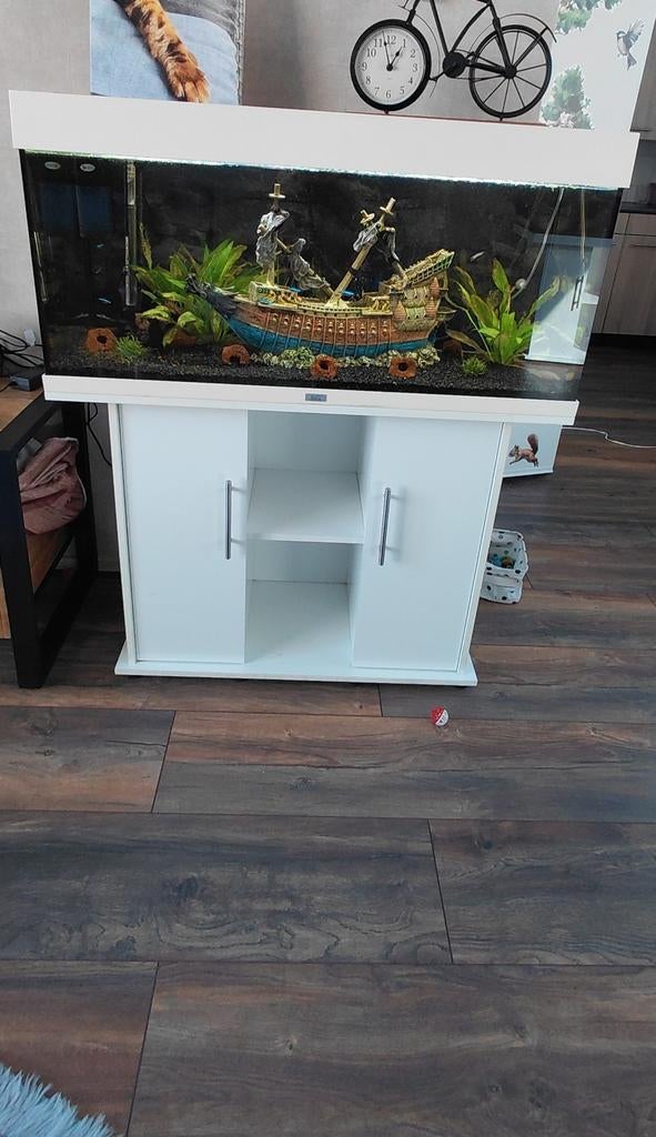 Te koop - Juwel Rio 180 met meubel, Ophalen, Inclusief toebehoren, Juwel, Gevuld zoetwateraquarium