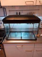 Aquarium met ledverlichting, b 59cm x d 31cm x h 45cm, €50,-, Ophalen, Leeg aquarium