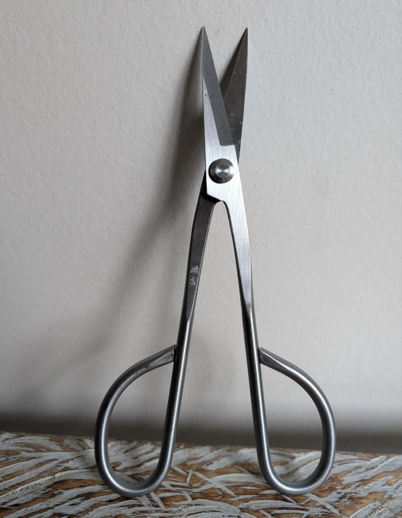 Bonsai schaar 21cm  Steenless Steel Nieuw, Bloeit niet, Halfschaduw, Minder dan 100 cm, Overige soorten