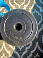 4x 1.5 kilo en 4x 2.5 kilo schijven., Ophalen, Dumbbell