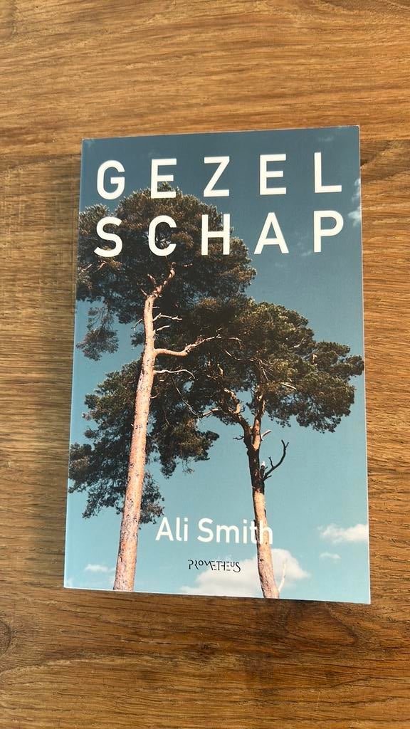 Ali Smith - Gezelschap, Boeken, Ophalen of Verzenden, Zo goed als nieuw, Ali Smith