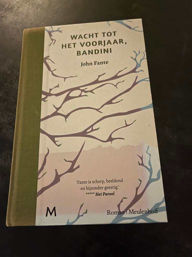 Wacht tot het voorjaar, Bandini - John Fante (Roman), Ophalen of Verzenden, Zo goed als nieuw