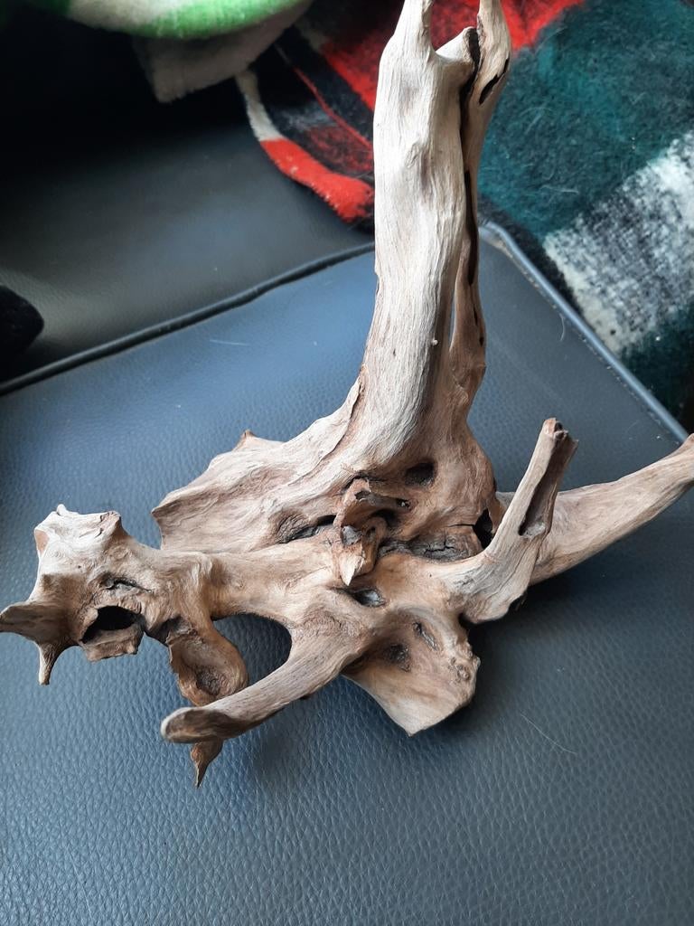 Decoratief drijfhout stuk, Hout, Gebruikt, Ophalen of Verzenden, Landelijk