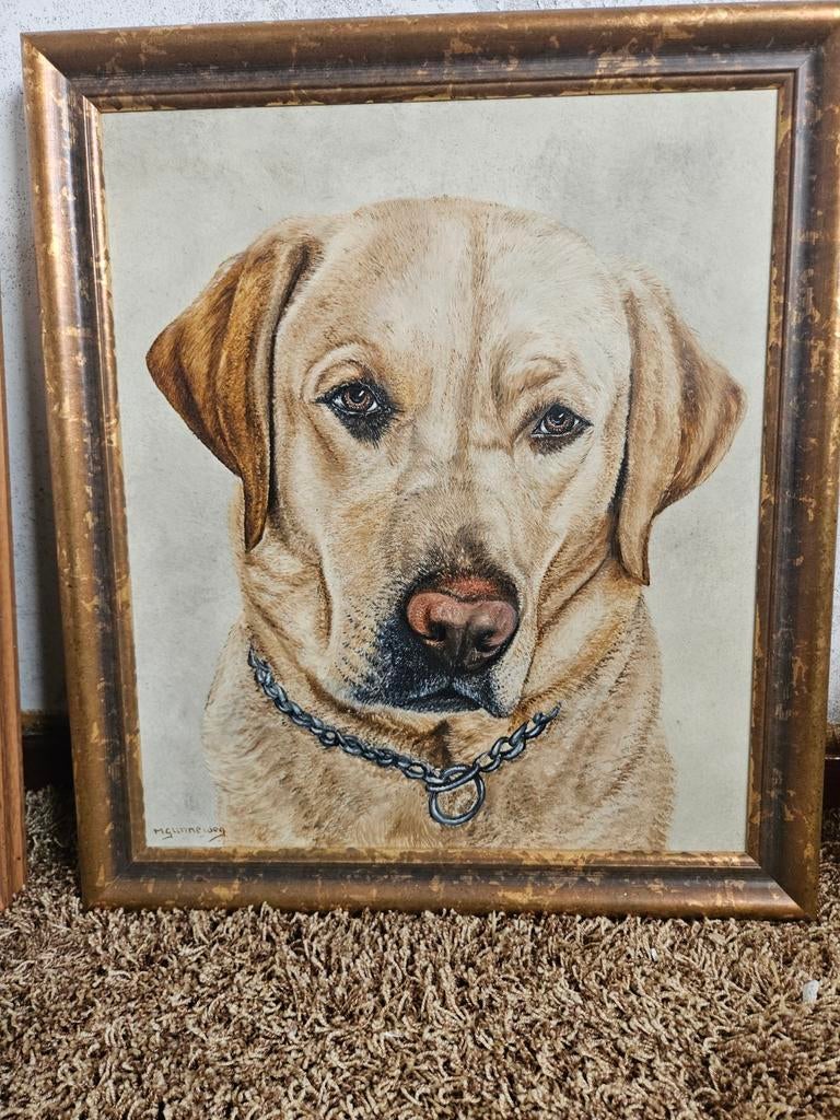 Schilderij van M. Gunneweg: Labrador Portret, Ophalen of Verzenden