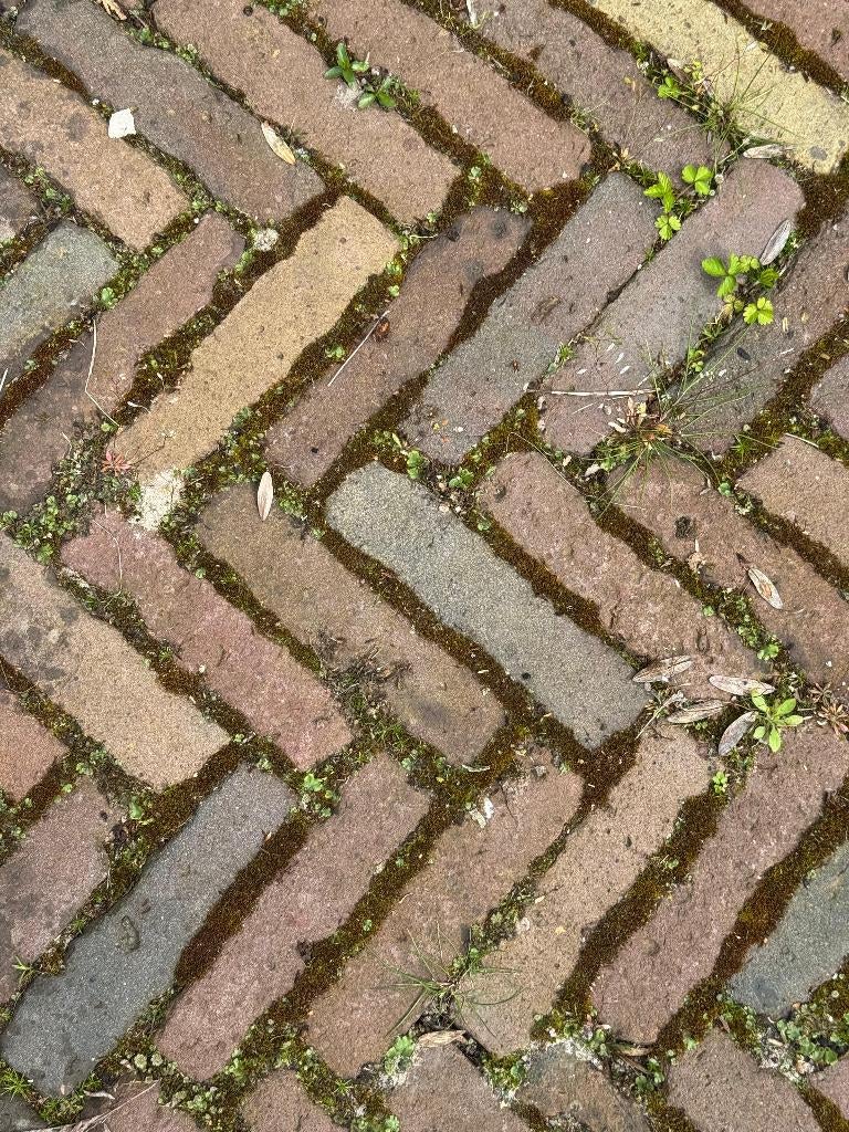 Te koop: 40m2 oude gebakken waaltjes / klinkers, Ophalen, Overige materialen, Gebruikt, Klinkers