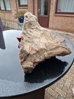 OLIJFHOUT - voor OFYR of BARBECUE, Minder dan 3 m³, Ophalen, Overige houtsoorten, Blokken