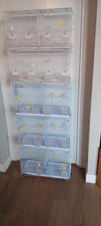 5 kweekkooien, Dieren en Toebehoren, Vogels | Hokken en Kooien, Ophalen, Broedkooi of Kweekkooi