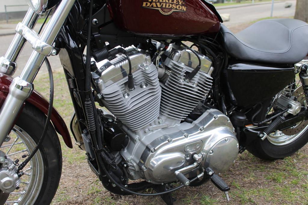 Harley-Davidson Sportster XL 883 Sportster XL 883 L low, Motoren, Motoren | Harley-Davidson, Chopper, Bedrijf, 883 cc, Meer dan 35 kW
