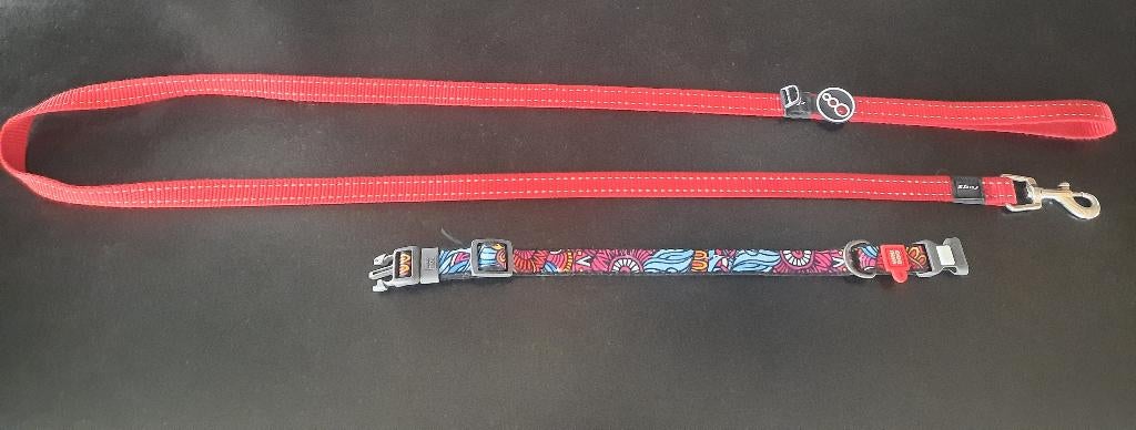 Honden halsband met lijn, Ophalen of Verzenden, Zo goed als nieuw, Hondenriem