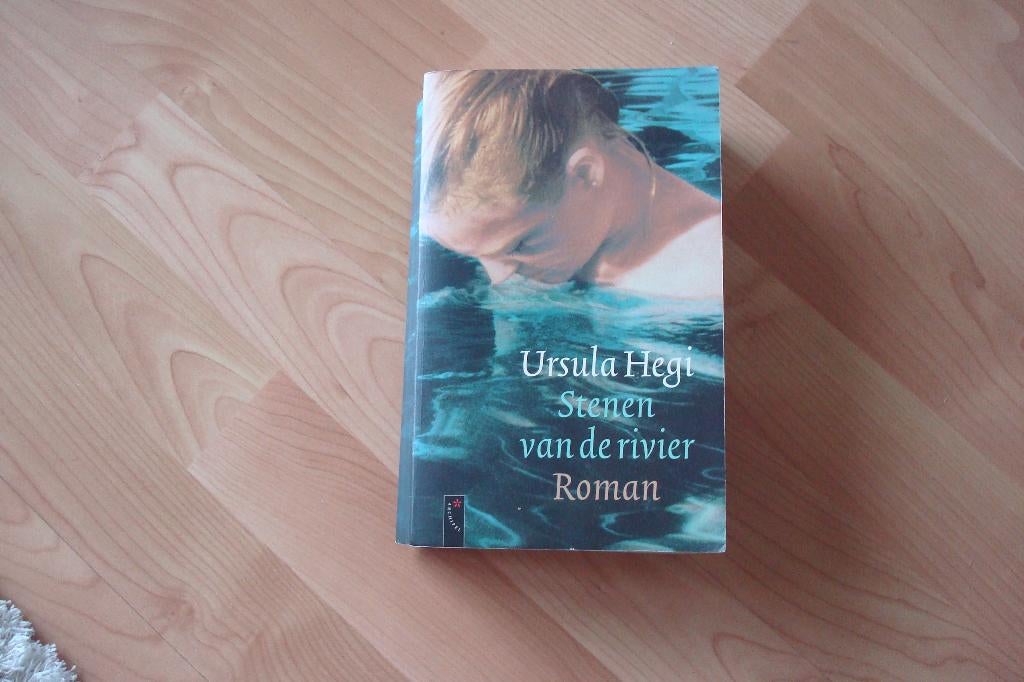 Stenen van de rivier - Ursula Hegi, Boeken, Romans, Gelezen, Ophalen of Verzenden