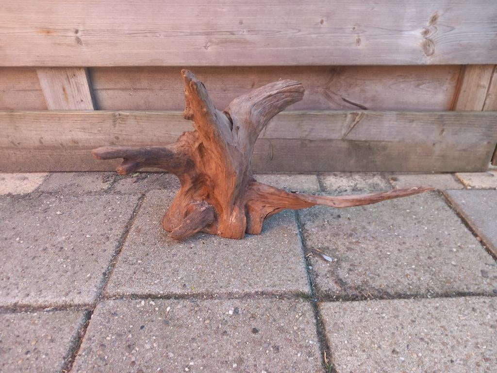 Groot aquarium boom stronk, Dieren en Toebehoren, Ophalen of Verzenden, Gebruikt, Plant(en), Steen of Hout