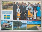 Ansichtkaart zweedse koninklijke familie, Ophalen of Verzenden, Kaart, Foto of Prent