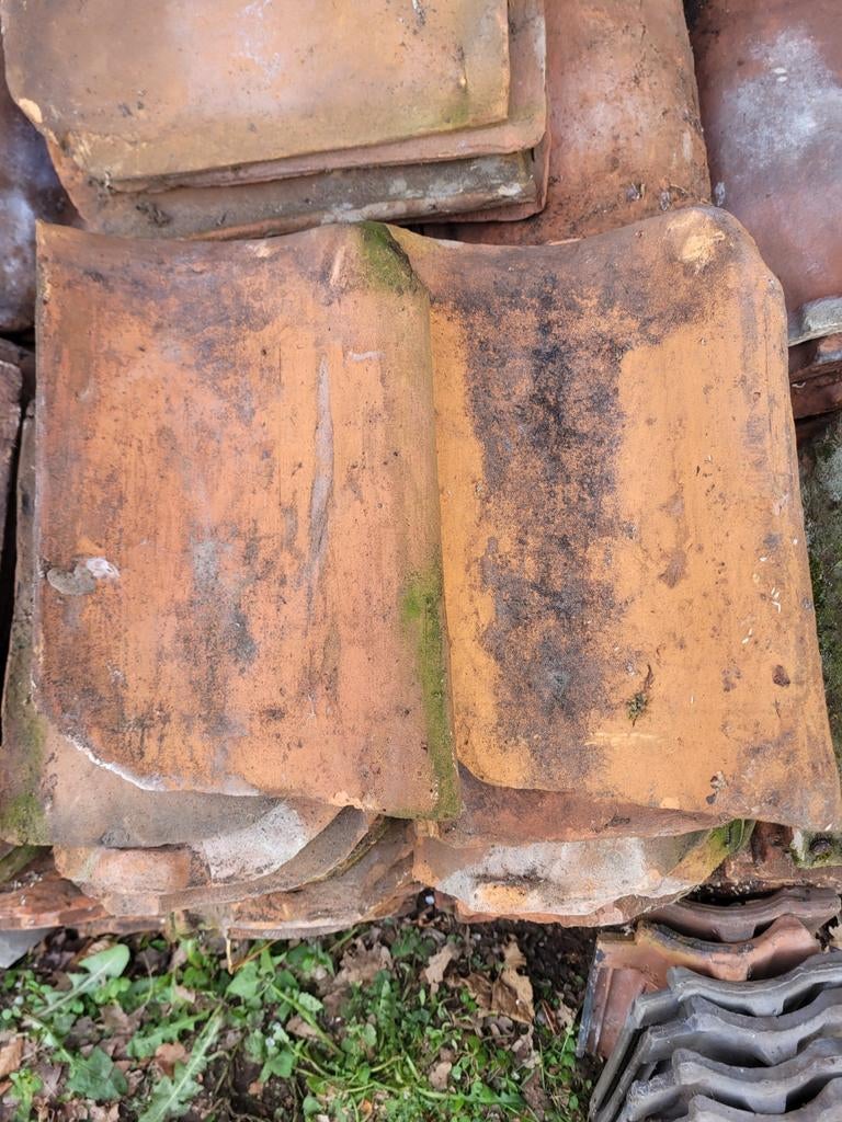 Oud Hollandse dakpannen rood ongeveer 250 stuks, Ophalen, Gebruikt, Steen of Klei, 15 m² of meer