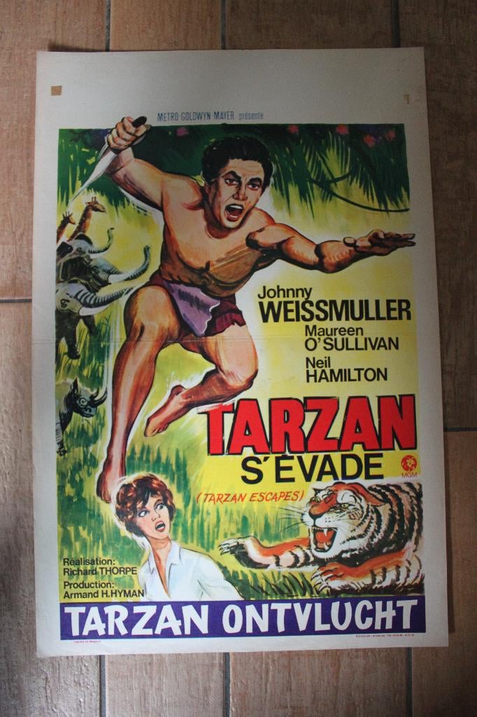 filmaffiche Tarzan Escapes Johnny Weissmuller filmposter, Rechthoekig Staand, Ophalen of Verzenden, Zo goed als nieuw, A1 t/m A3