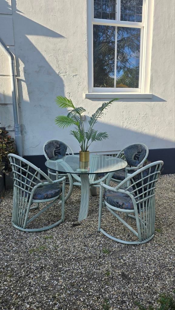 Prachtige Rotan eethoek èn zithoek met bank en fauteuil 🩵, Ophalen, Hoeksehofstraat 8, Schutz, Stof