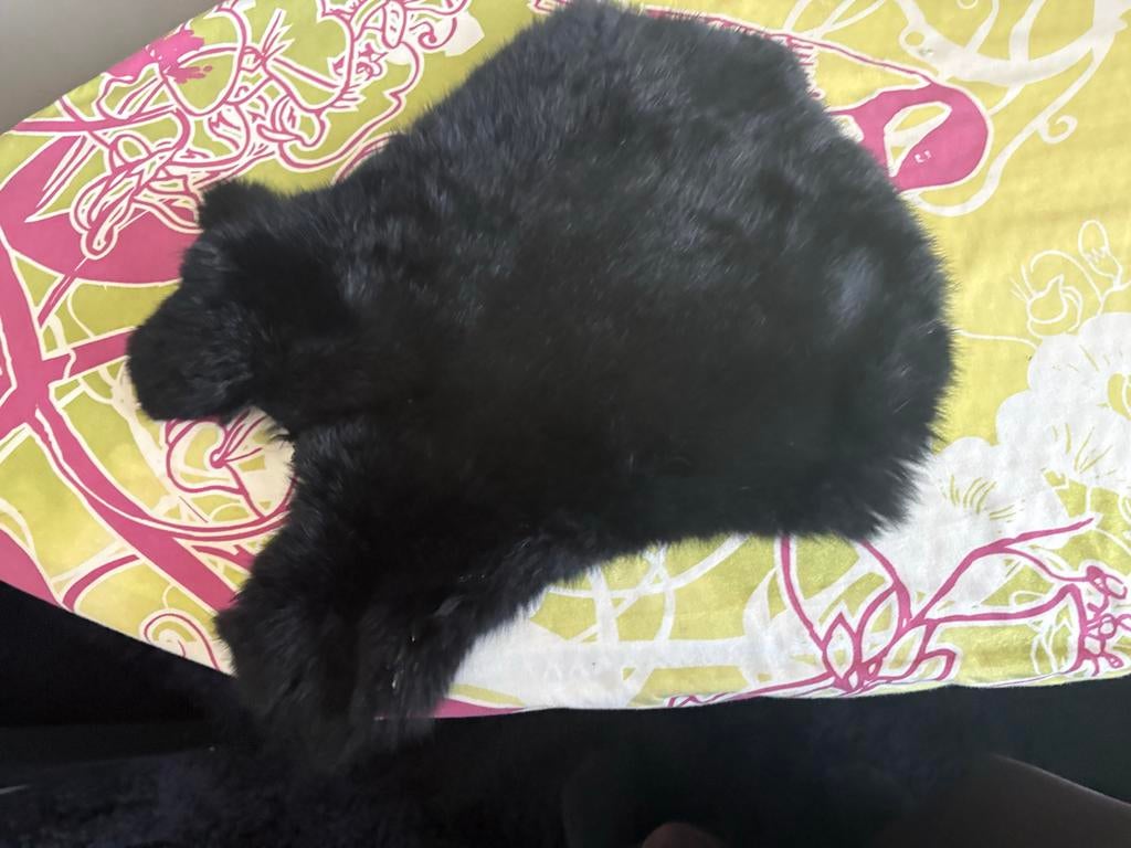 Konijnen vachtje, Meerdere dieren