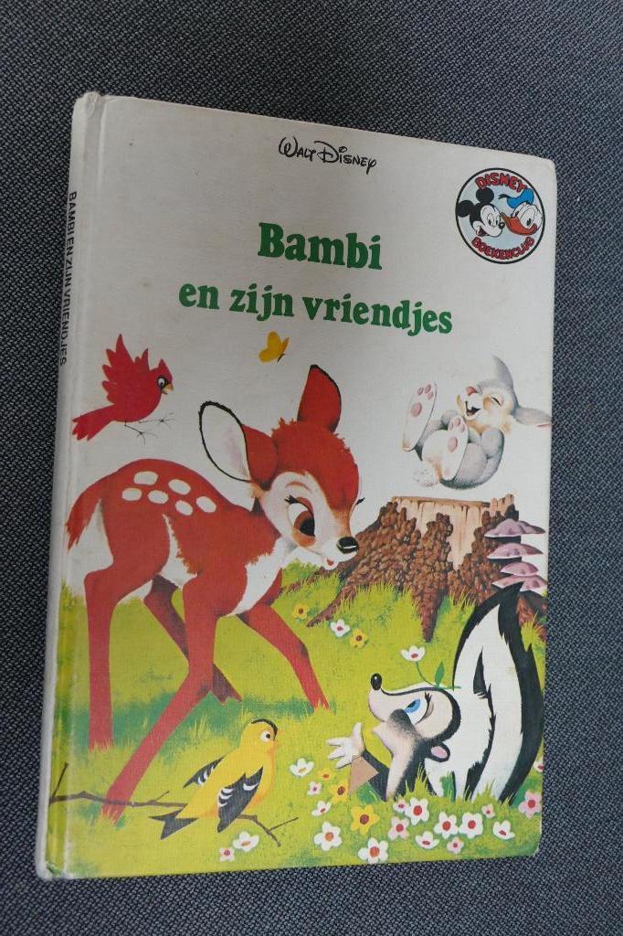Disney boekjes, Boeken, Kinderboeken | Jeugd | onder 10 jaar, Fictie algemeen, Ophalen of Verzenden