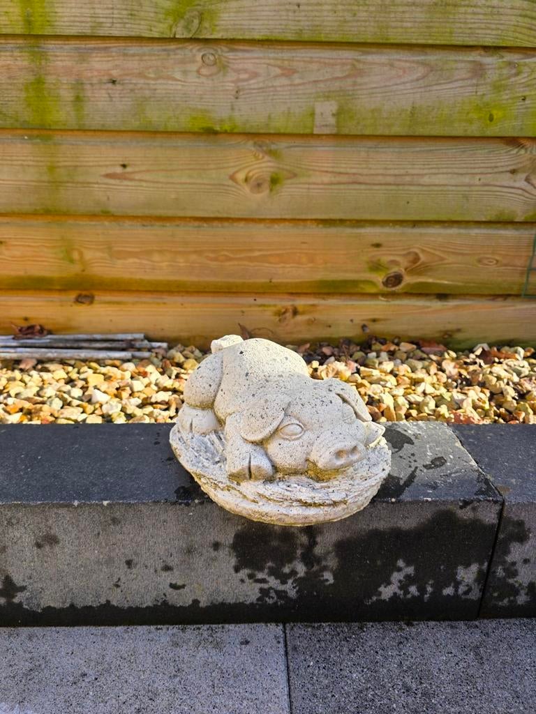 Tuinbeeld varken, Tuin en Terras, Tuinbeelden, Ophalen, Gebruikt, Beton, Dierenbeeld