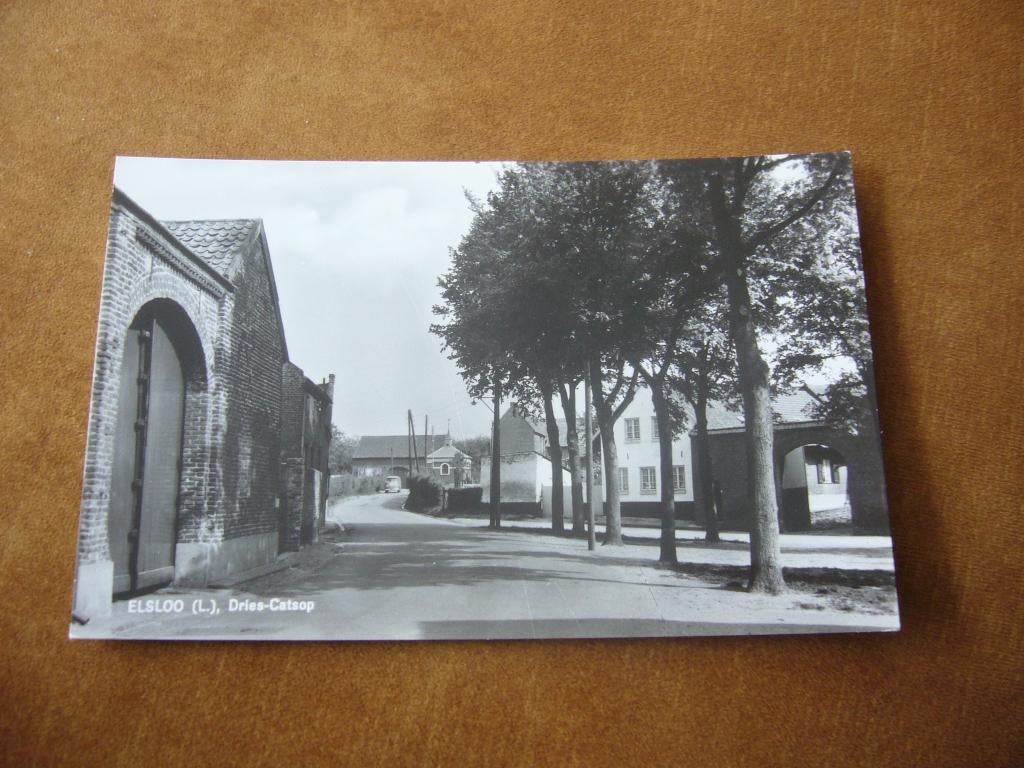 ELSLOO  L  =  DRIES CATSOP, Ophalen of Verzenden, 1940 tot 1960, Ongelopen