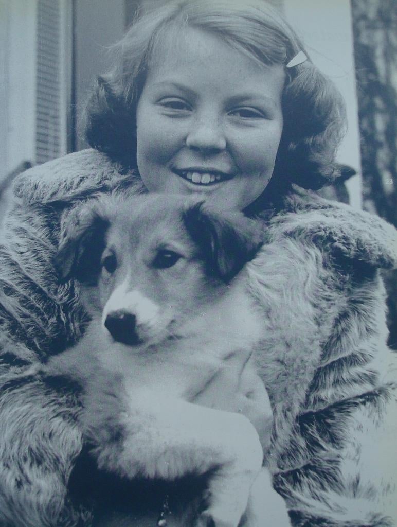 Beatrix - 70 welbestede jaren, Ophalen, Zo goed als nieuw, Tijdschrift of Boek