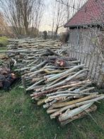 Brandhout stammen wilg, 6 m³ of meer, Ophalen of Verzenden, Overige houtsoorten, Stammen