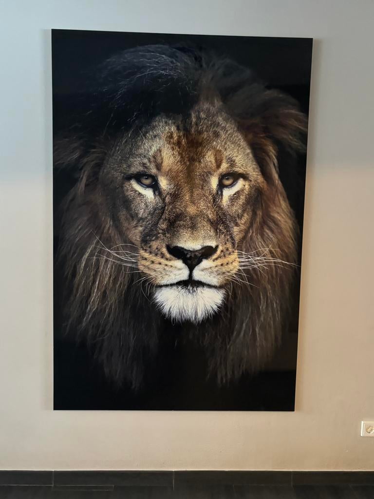 Schilderij Mondiart 120x180 cm, Huis en Inrichting, Woonaccessoires | Schilderijen, Tekeningen en Foto's, Ophalen, 100 tot 125 cm