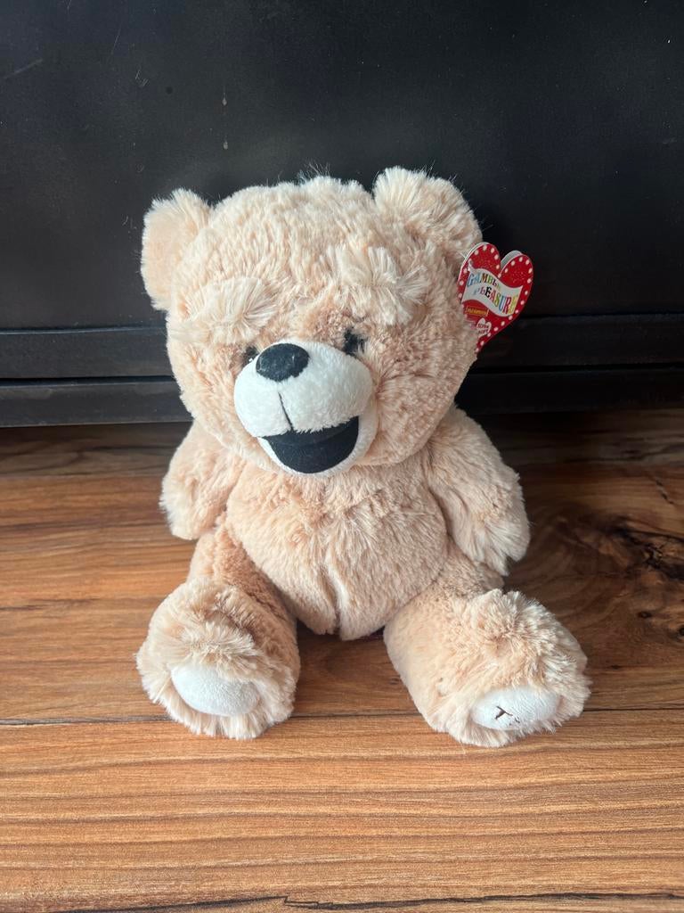 Nieuwe Ted pluche knuffel met label - 22cm, Ophalen of Verzenden, Nieuw, Beer