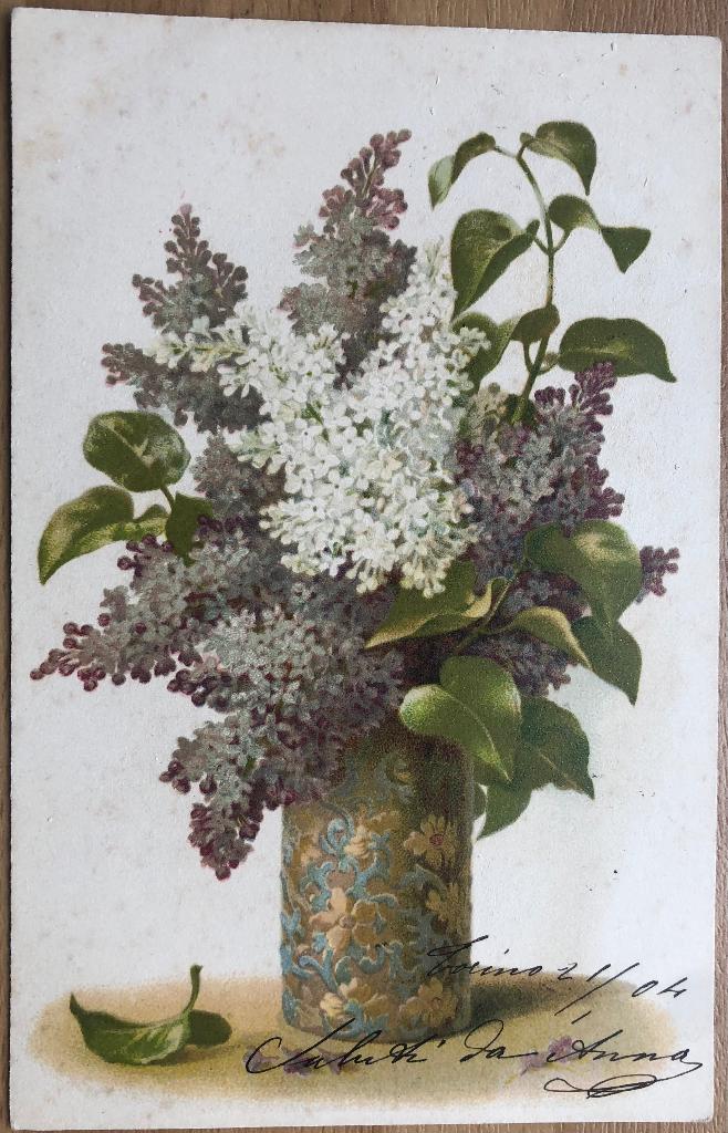 SERINGEN, Verzenden, Voor 1920, Gelopen, Overige thema's