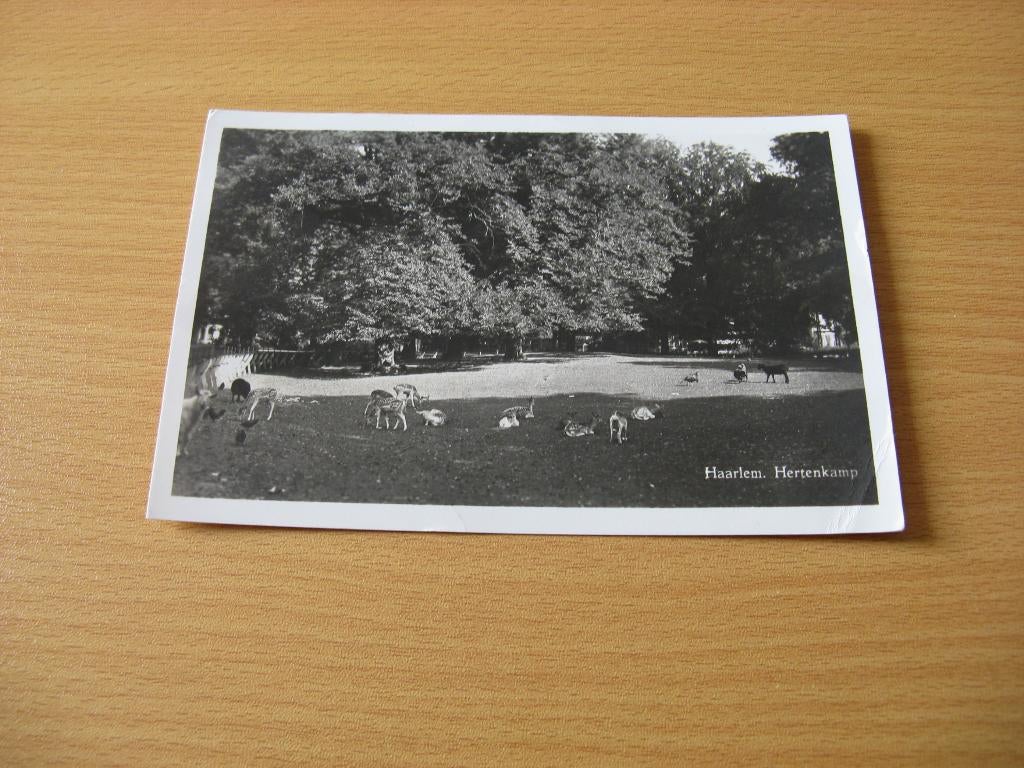 Haarlem Hertenkamp 1, Ophalen of Verzenden, Voor 1920, Gelopen, Noord-Brabant