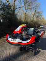 SODI kart met ROTAX motor, Ophalen of Verzenden, Gebruikt, Kart
