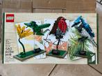 LEGO Ideas 21301 Vogels, Ophalen of Verzenden, Nieuw, Complete set, Lego