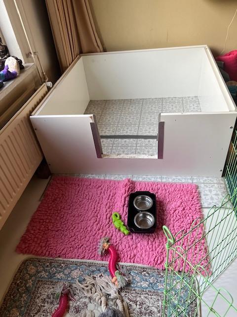 werpkist, Dieren en Toebehoren, Overige Dieren-accessoires, Gebruikt, Ophalen