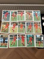 Excelsior panini vanderhout 1970-1971, Ophalen of Verzenden, Zo goed als nieuw, Buitenlandse clubs, Poster, Plaatje of Sticker