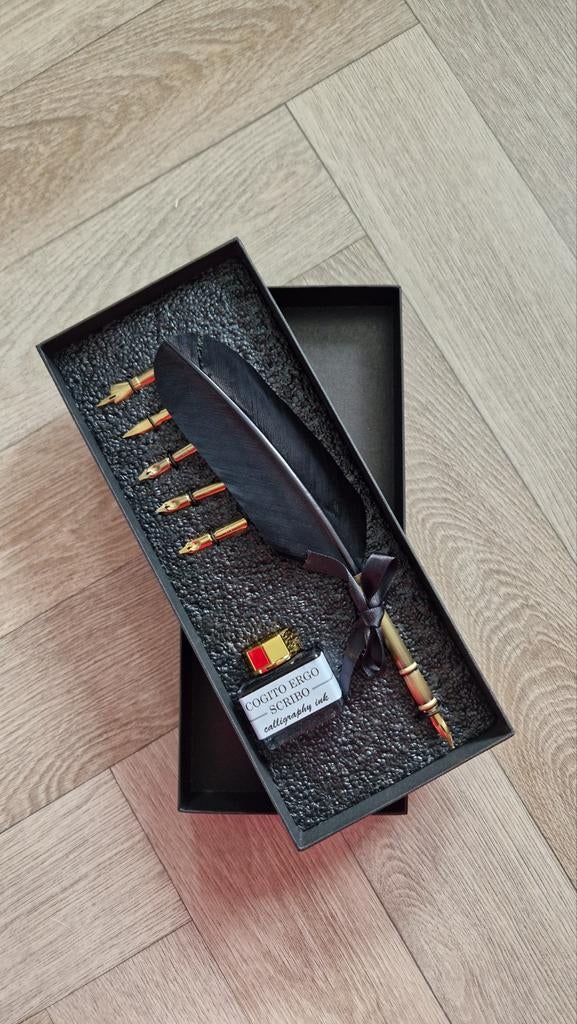 Kalligrafie vulpen met inkt en extra punten, Ophalen of Verzenden, Nieuw