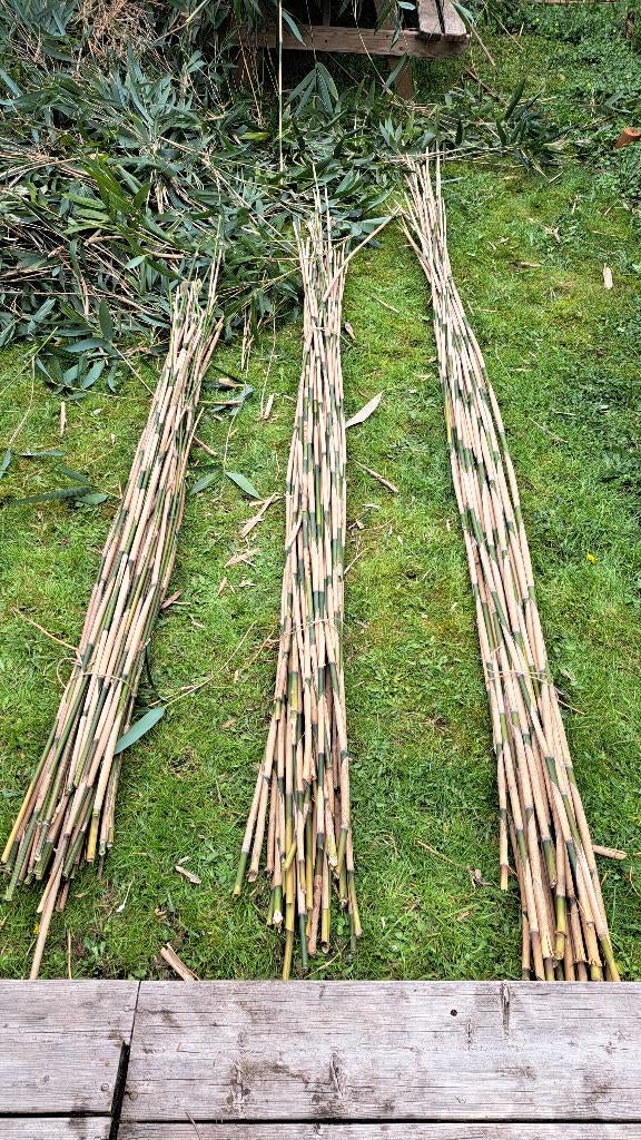Bamboestokken, Tuin en Terras, Ophalen, Nieuw