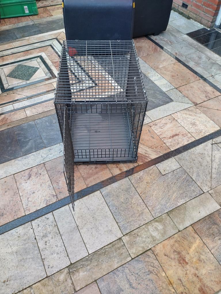 Nieuwe Hondenbench, Dieren en Toebehoren, Hondenhokken, Ophalen of Verzenden, Nieuw, Minder dan 65 cm