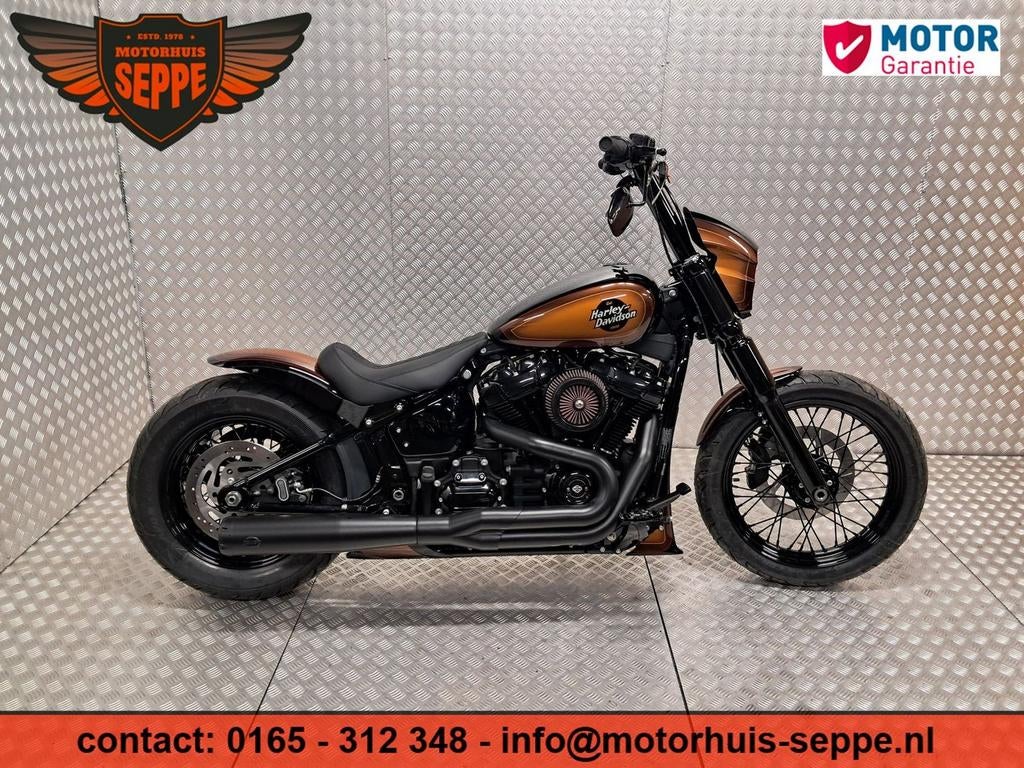 HARLEY-DAVIDSON SOFTAIL CUSTOM FXST (bj 2021) 5,999 mls, 1746 cc, 2 cilinders, HARLEY-DAVIDSON, Bedrijf